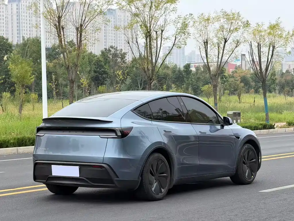Tesla Model Y — миниатюра 9