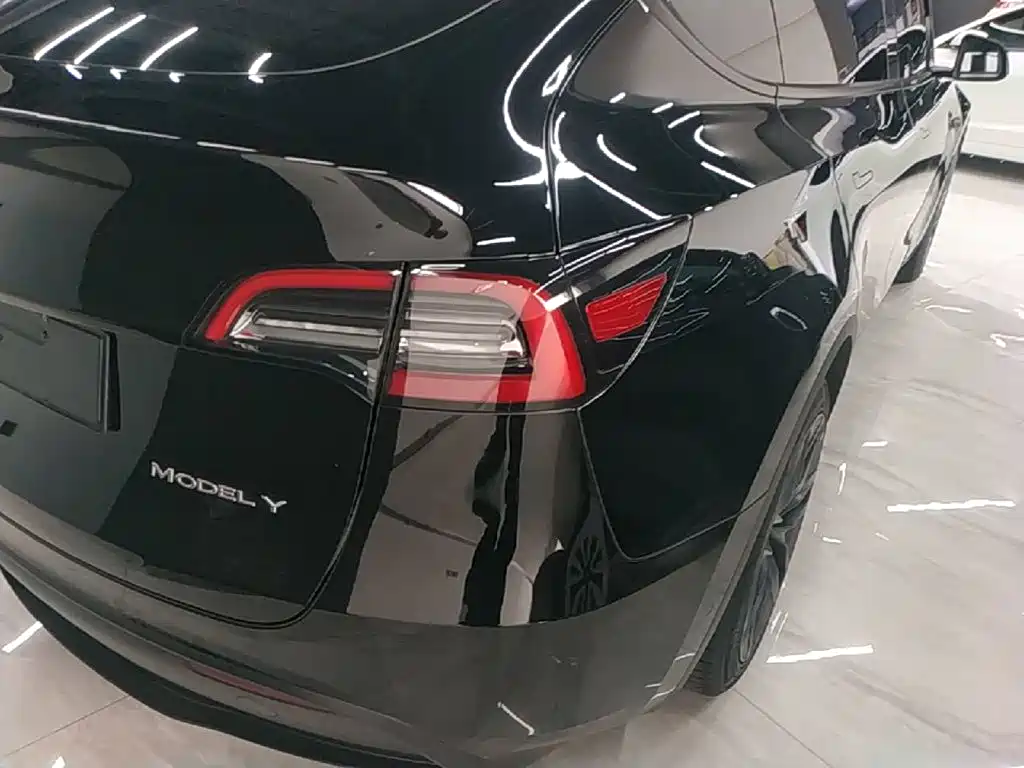 Tesla Model Y — миниатюра 8