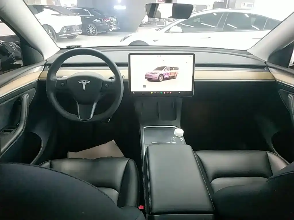 Tesla Model Y — миниатюра 10