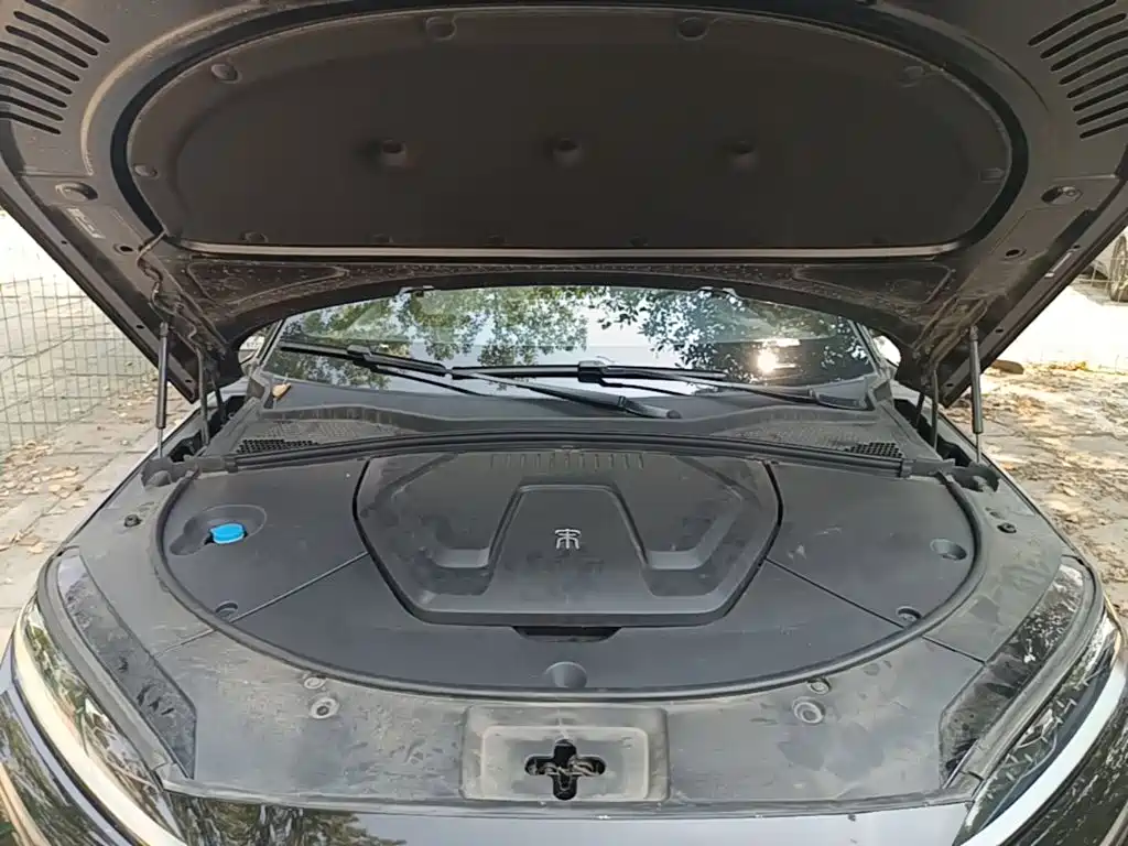 BYD PLUS New Energy — миниатюра 20