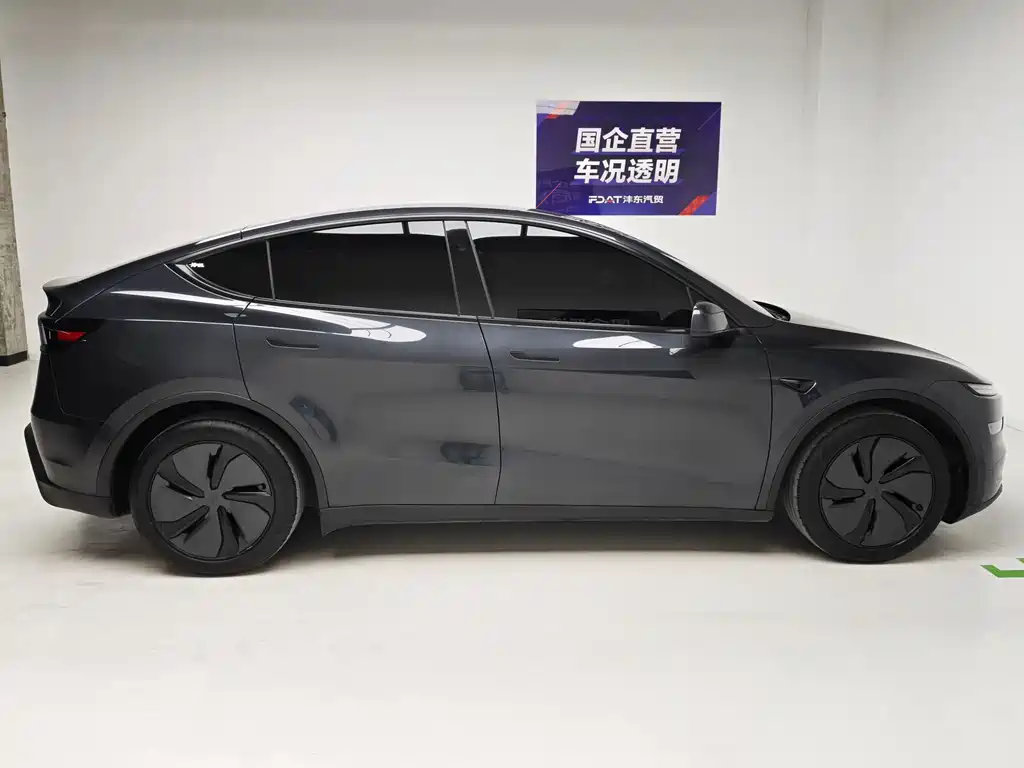 Tesla Model Y — миниатюра 7