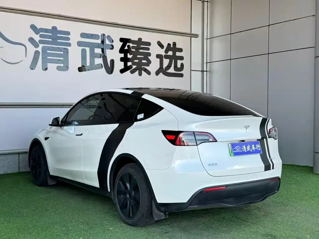 Tesla Model Y — миниатюра 8