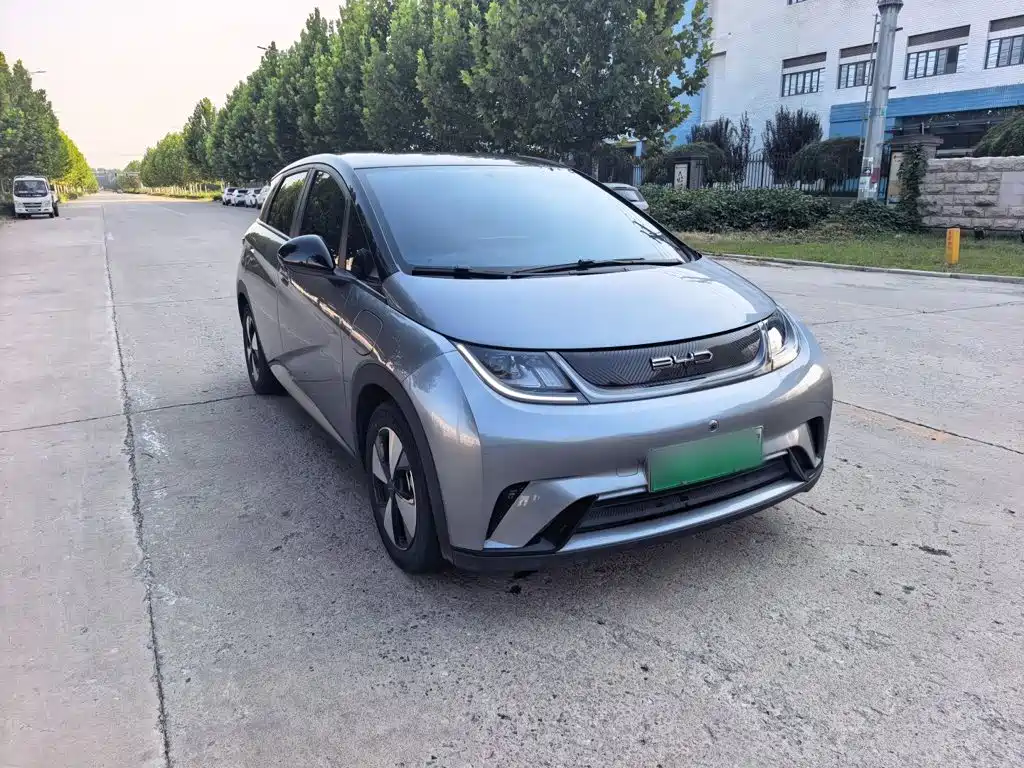 BYD Dolphin — миниатюра 8