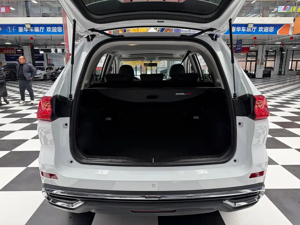 Haval M6 — миниатюра 8