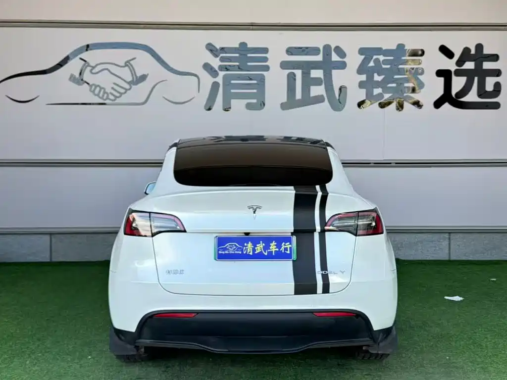 Tesla Model Y — миниатюра 9