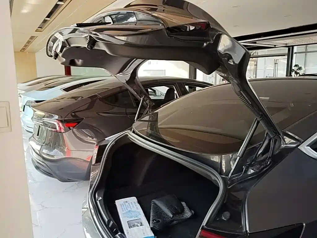 Tesla Model 3 — миниатюра 19