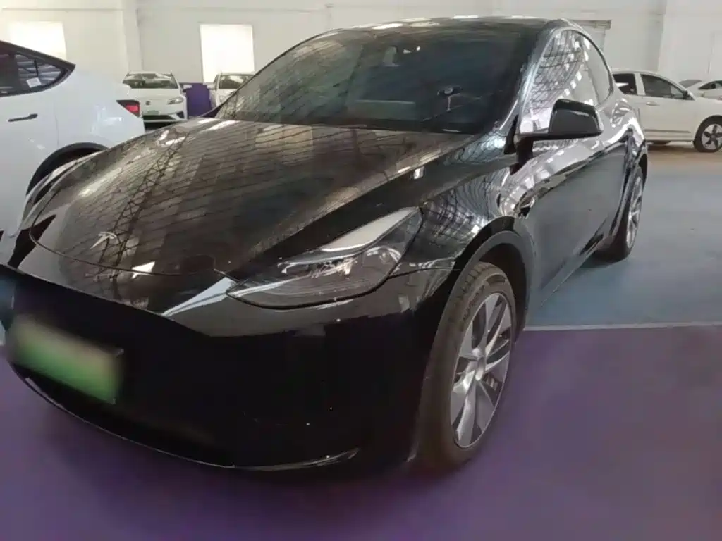 Tesla Model Y — миниатюра 2