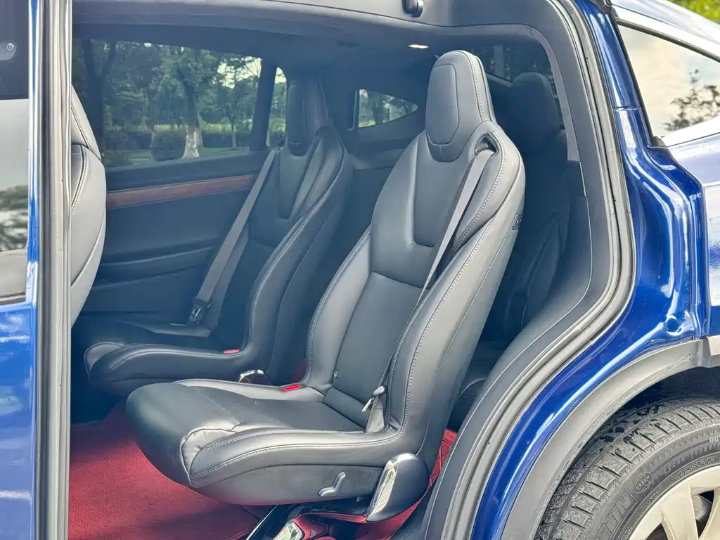 Tesla Model X — миниатюра 10