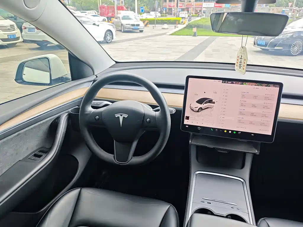 Tesla Model Y — миниатюра 26
