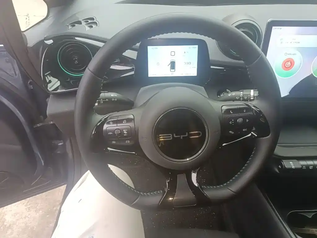 BYD Dolphin — миниатюра 11