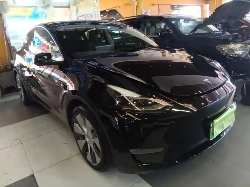 Tesla Model Y — миниатюра 4