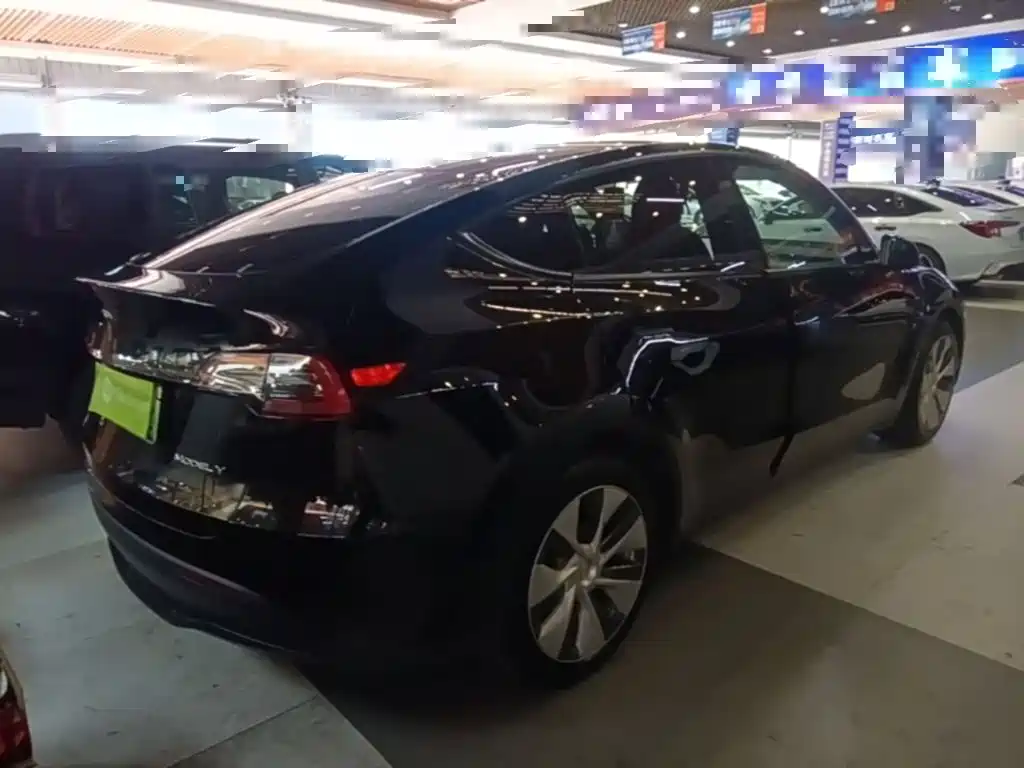 Tesla Model Y — миниатюра 7