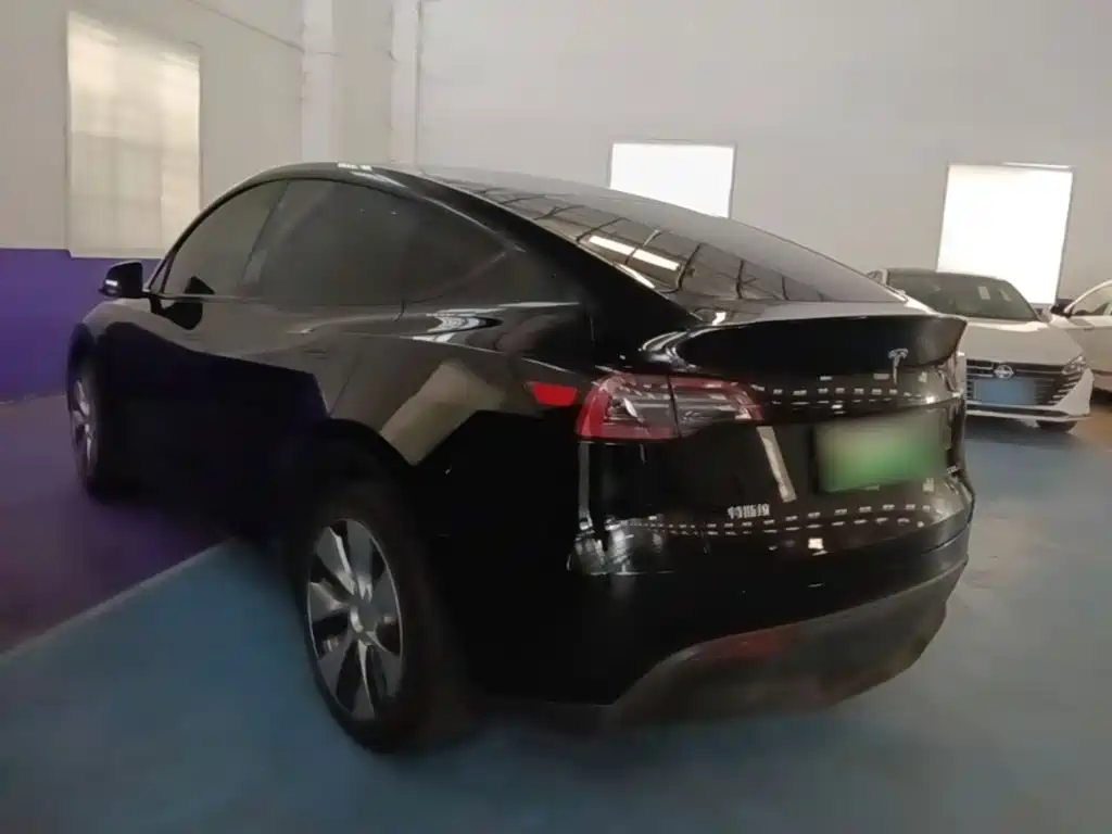 Tesla Model Y — миниатюра 5