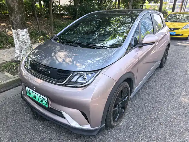 2022 BYD Dolphin