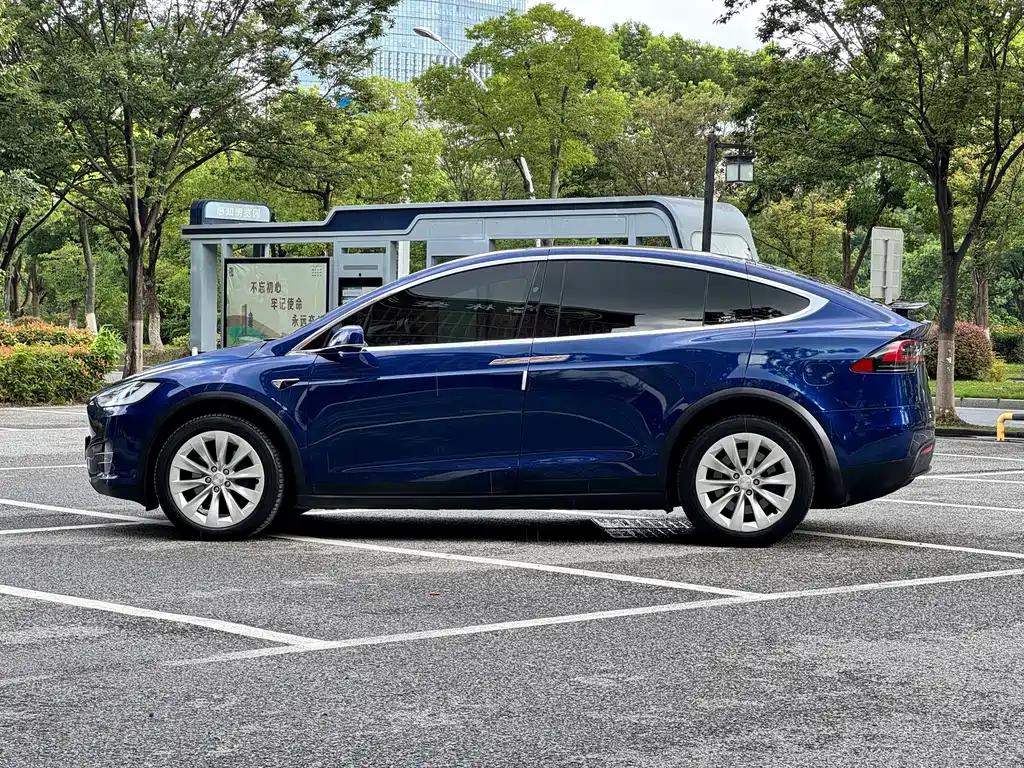 Tesla Model X — миниатюра 7
