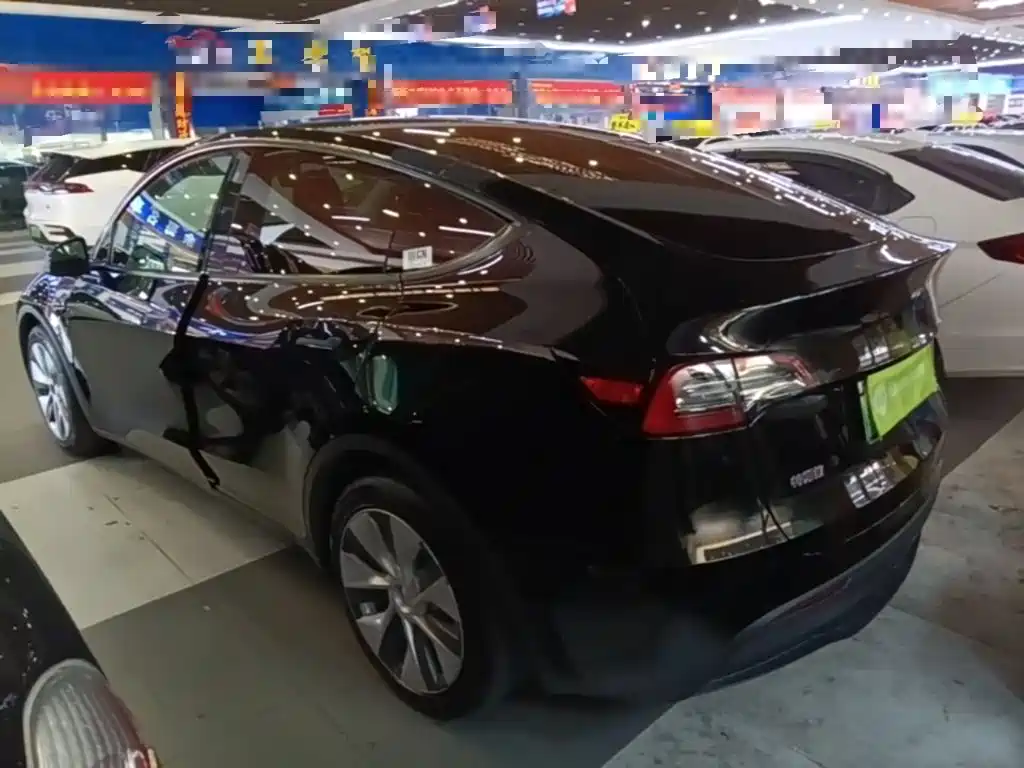 Tesla Model Y — миниатюра 5