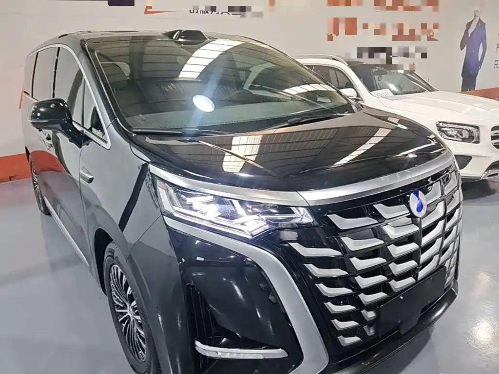 Denza Denza D9 — миниатюра 4
