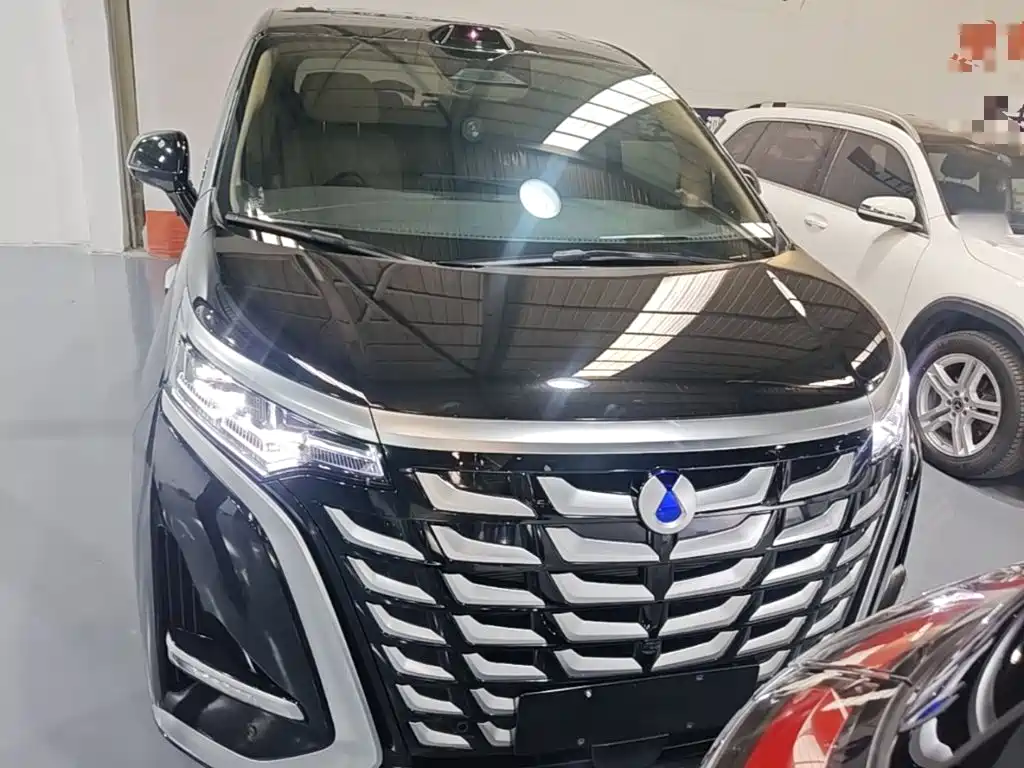 Denza Denza D9 — миниатюра 3