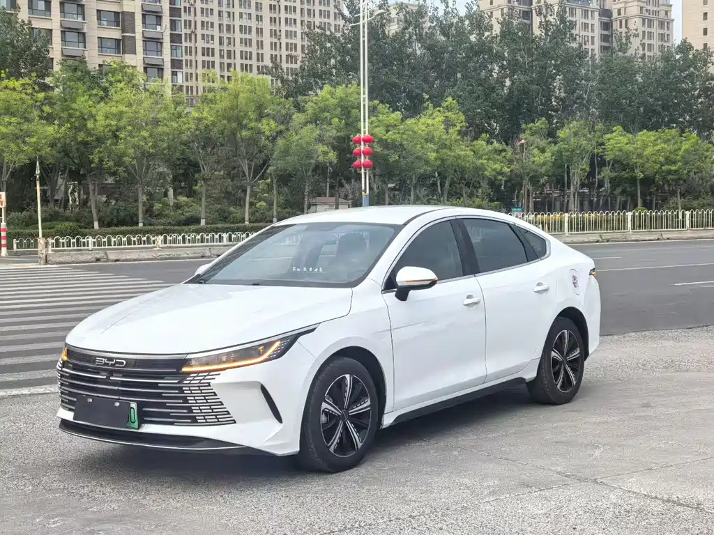BYD Destroyer 05 — миниатюра 2