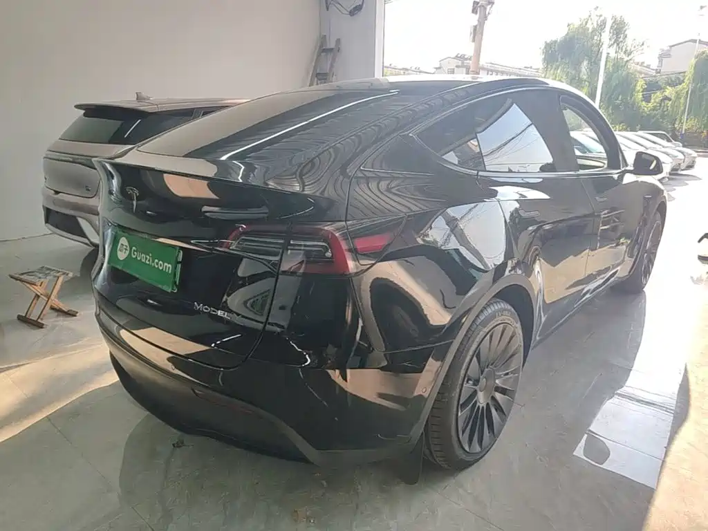 Tesla Model Y — миниатюра 7