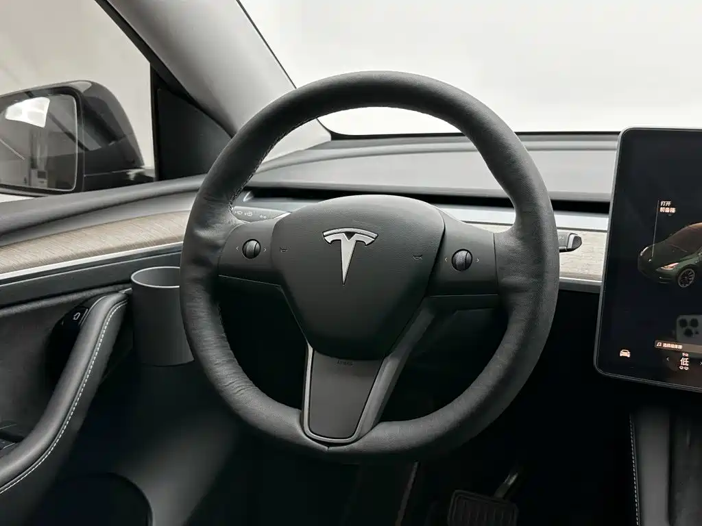 Tesla Model Y — миниатюра 20