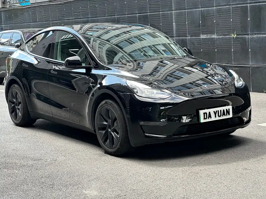 Tesla Model Y — миниатюра 3
