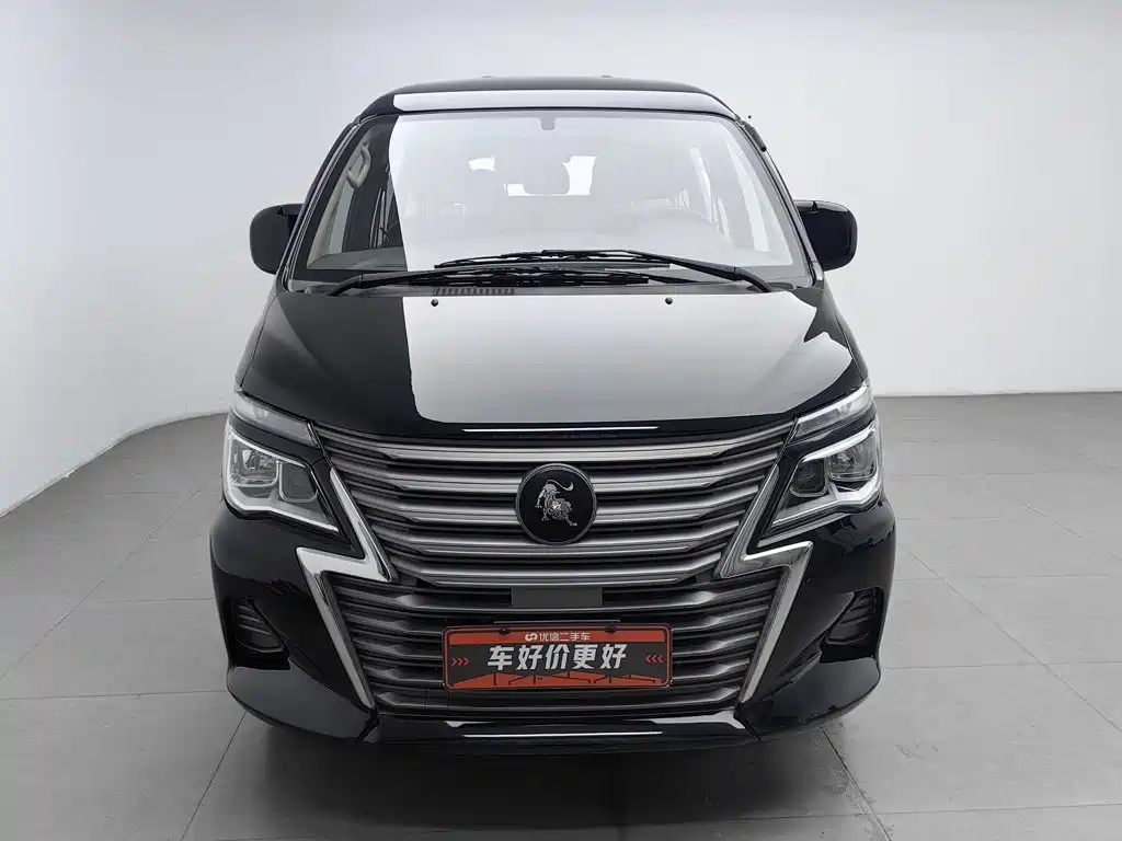 Fengxing Lingzhi — миниатюра 3