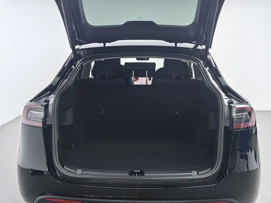 Tesla Model Y — миниатюра 16
