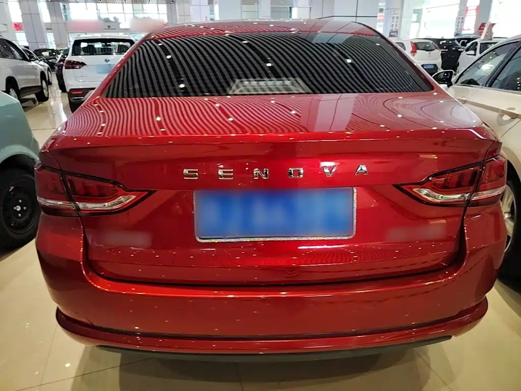 BAIC Senova D50 — миниатюра 6