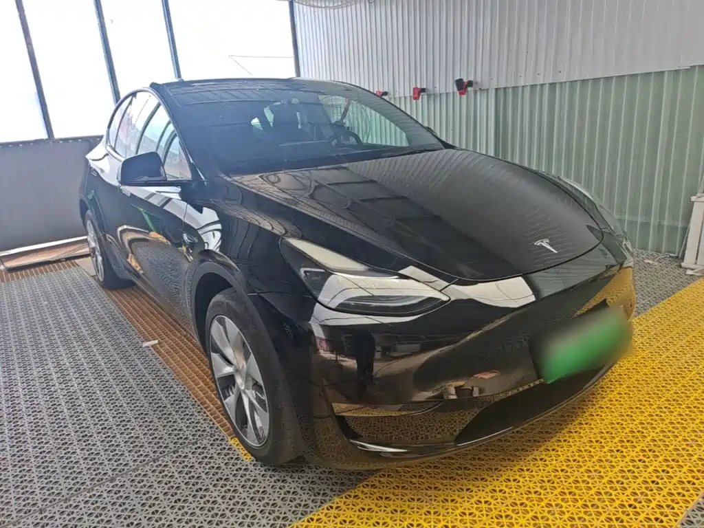 Tesla Model Y — миниатюра 4