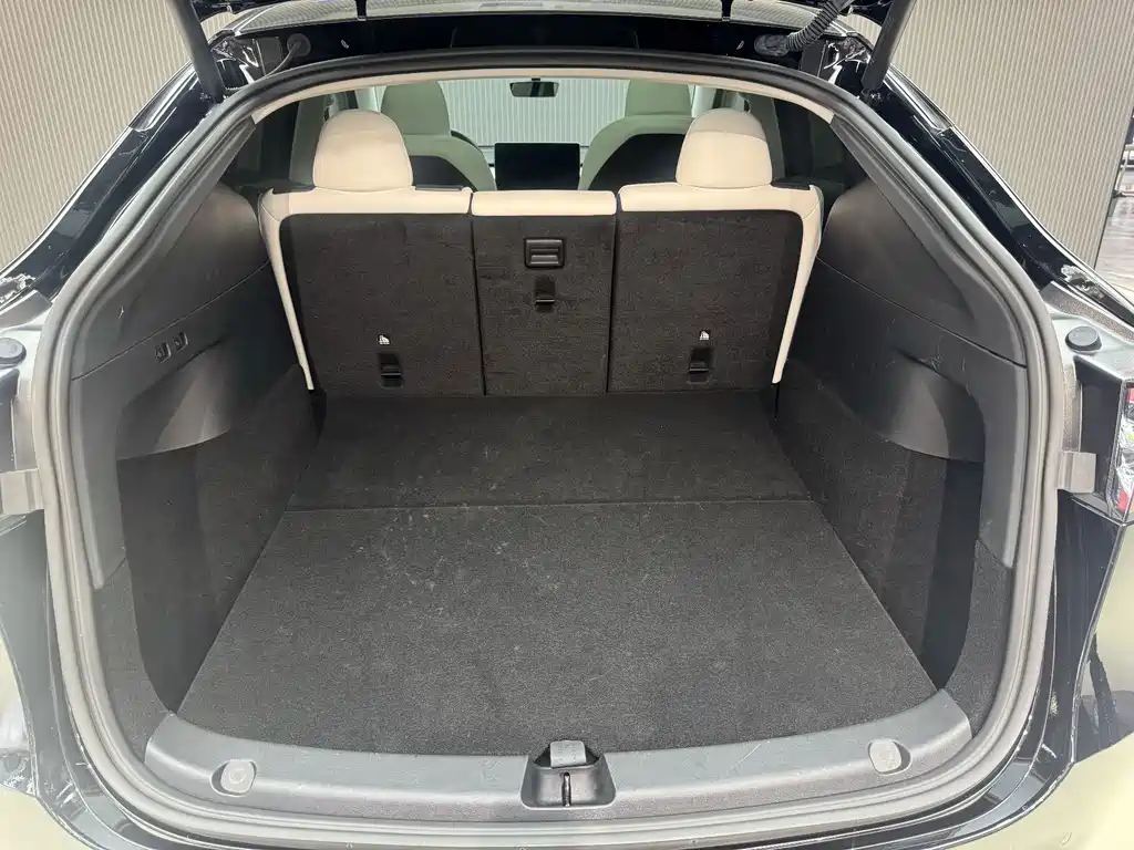 Tesla Model Y — миниатюра 9