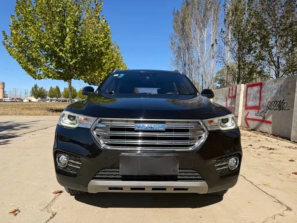 Haval H6 — миниатюра 2