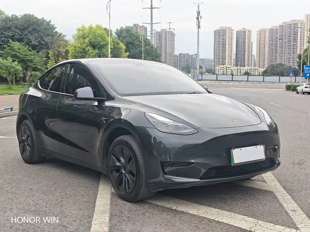 Tesla Model Y — миниатюра 3