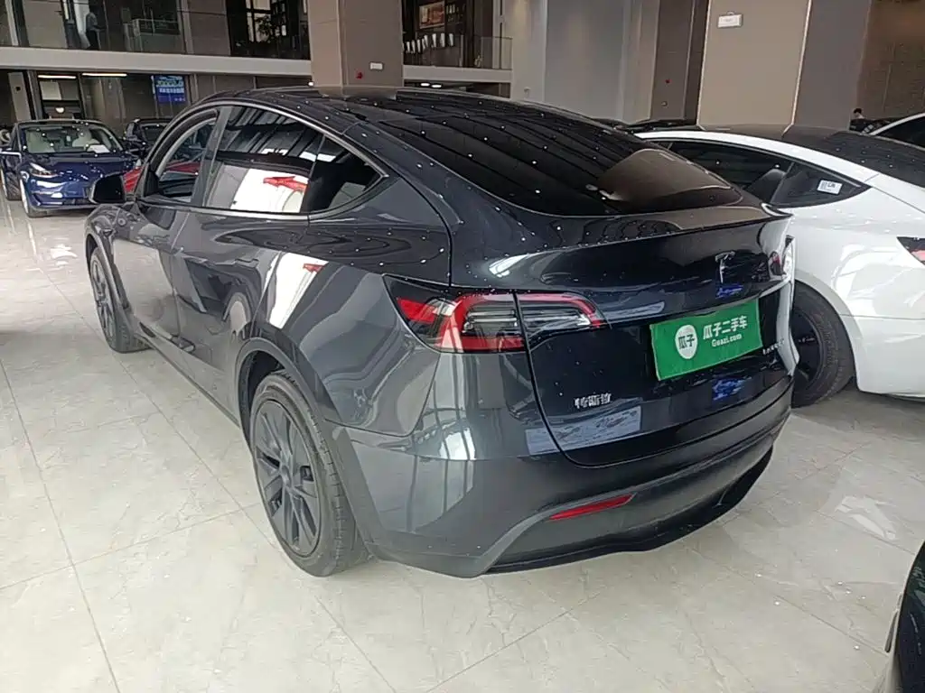 Tesla Model Y — миниатюра 5