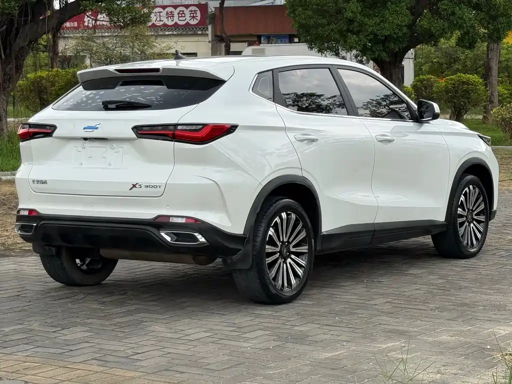 Oshan Oushang X5 — миниатюра 10