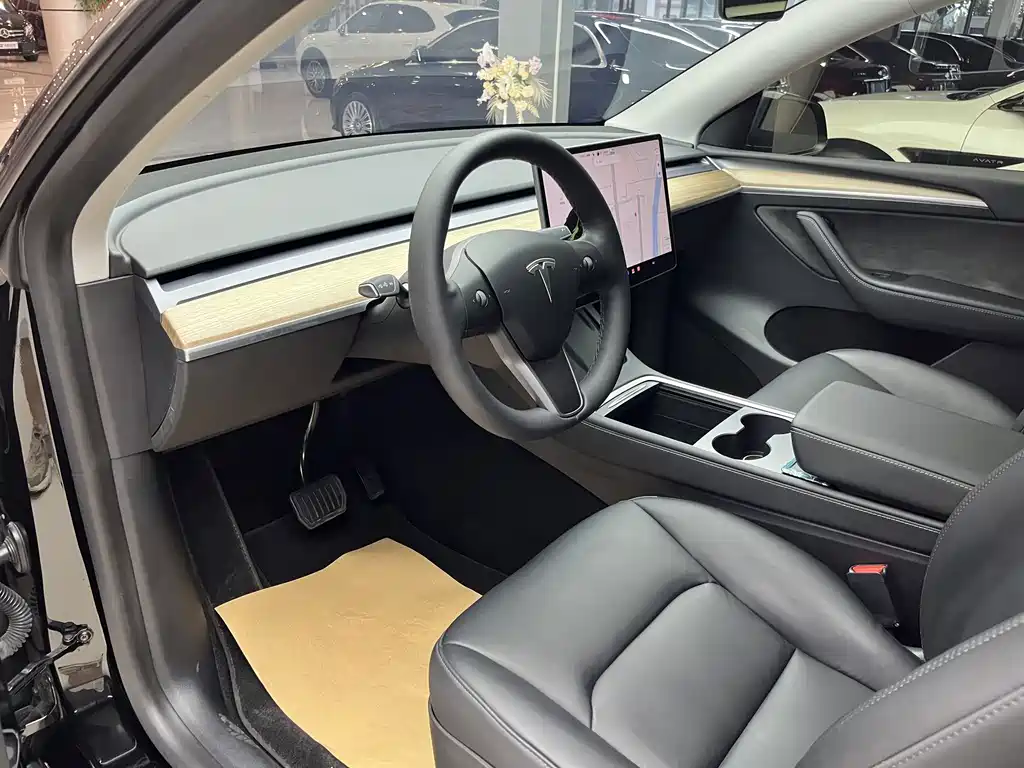 Tesla Model Y — миниатюра 10