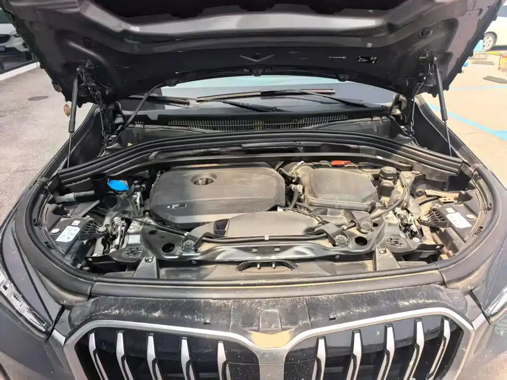 BMW X1 2023 sDrive20Li X