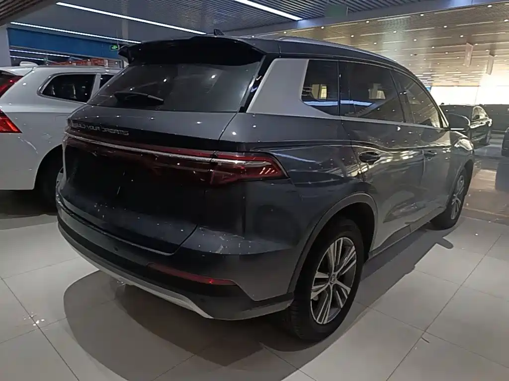 BYD Pro — миниатюра 7