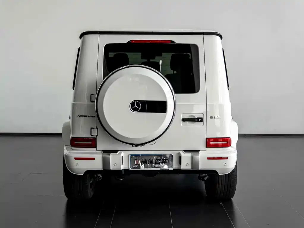 Mercedes-Benz G-Class — миниатюра 14