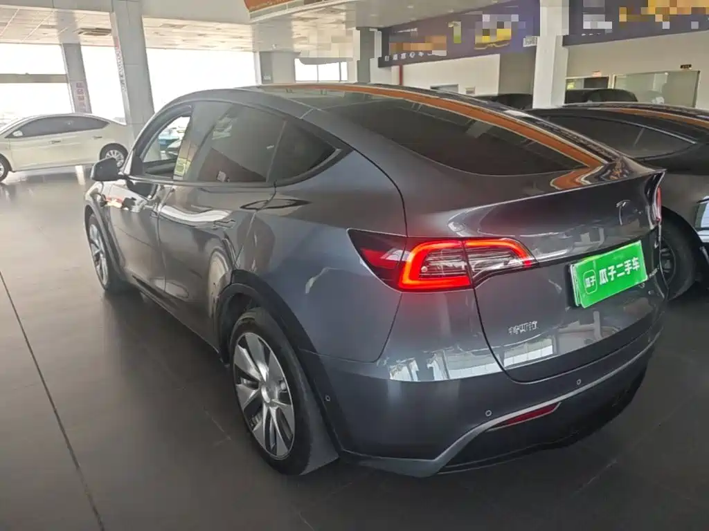 Tesla Model Y — миниатюра 5
