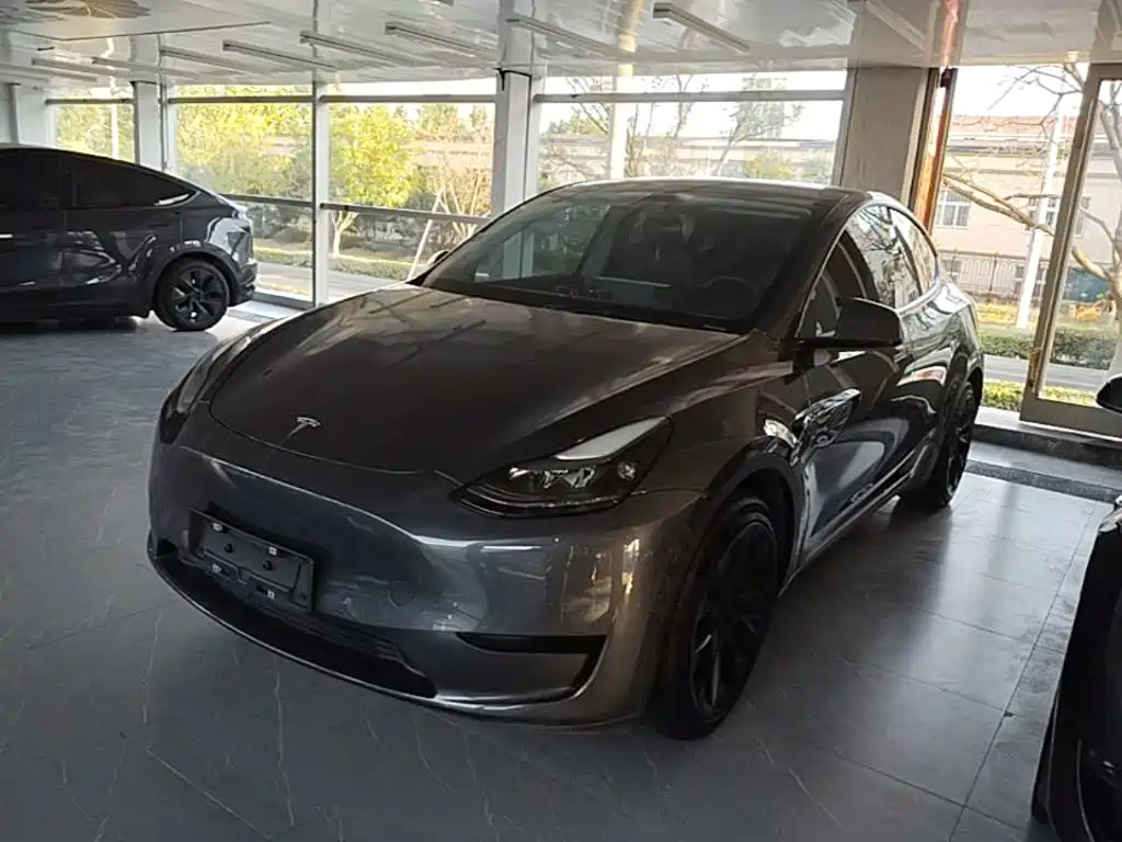 Tesla Model Y — миниатюра 2