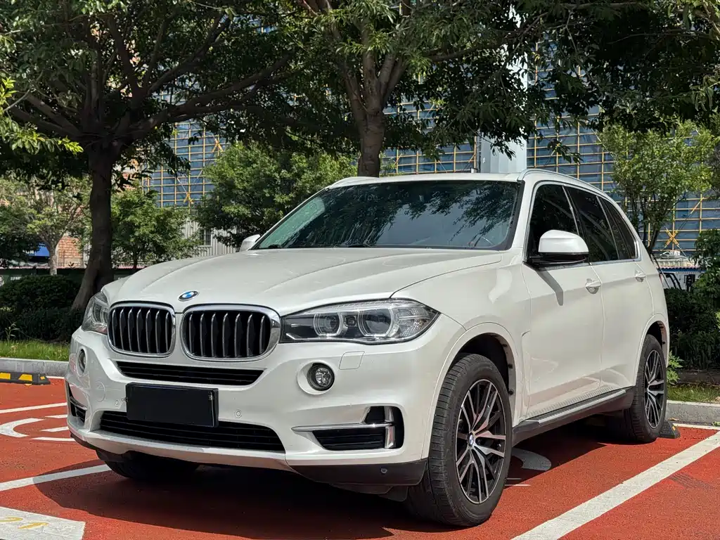 BMW X5 (Import) 2017