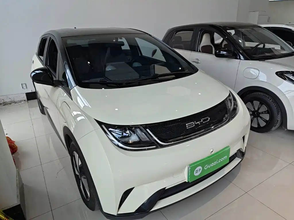 BYD Dolphin — миниатюра 4