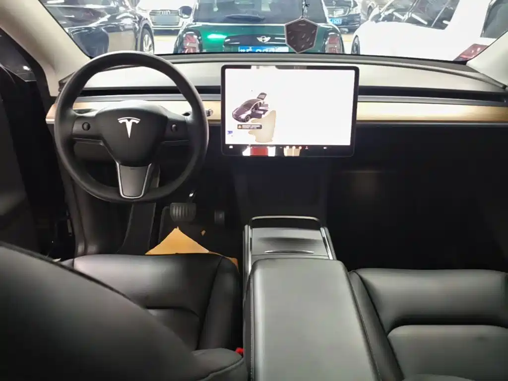 Tesla Model Y — миниатюра 10