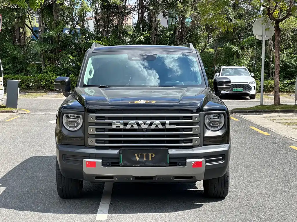 Haval Menglong New Energy — миниатюра 2