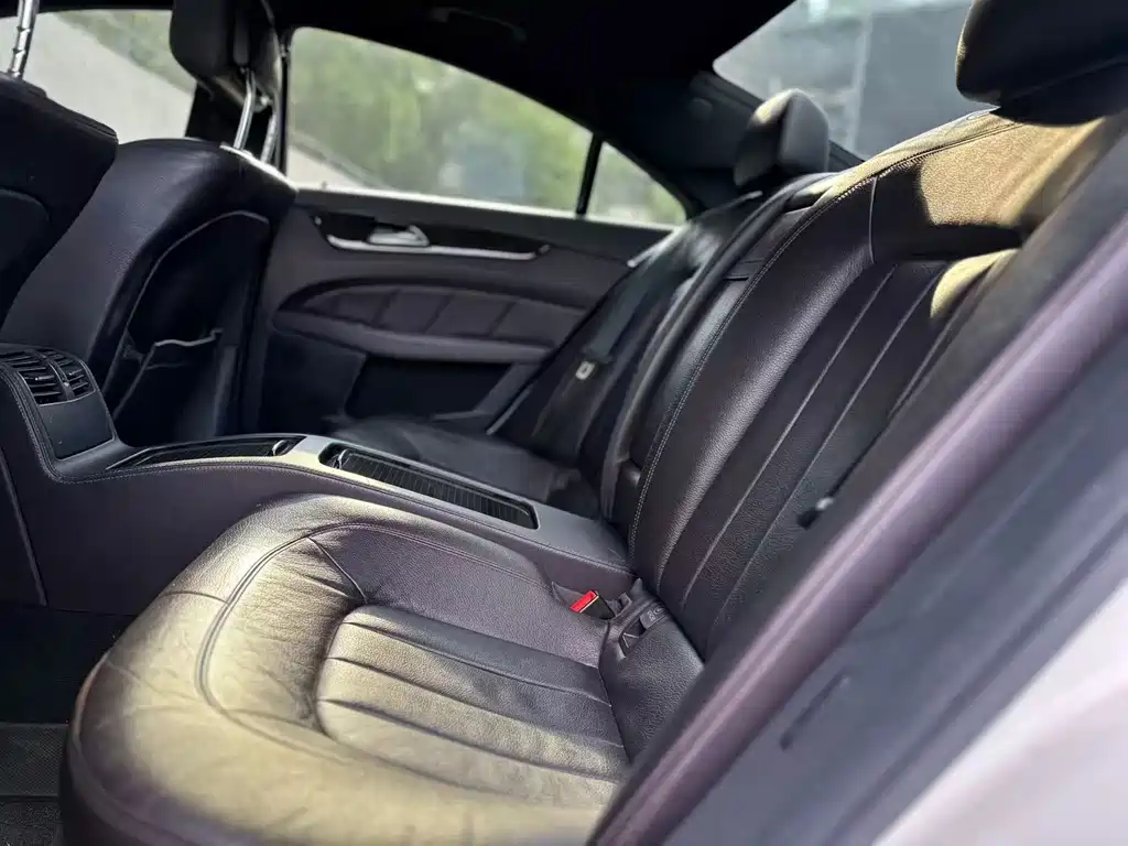 Mercedes-Benz CLS CLS 300 CGI, фото 5