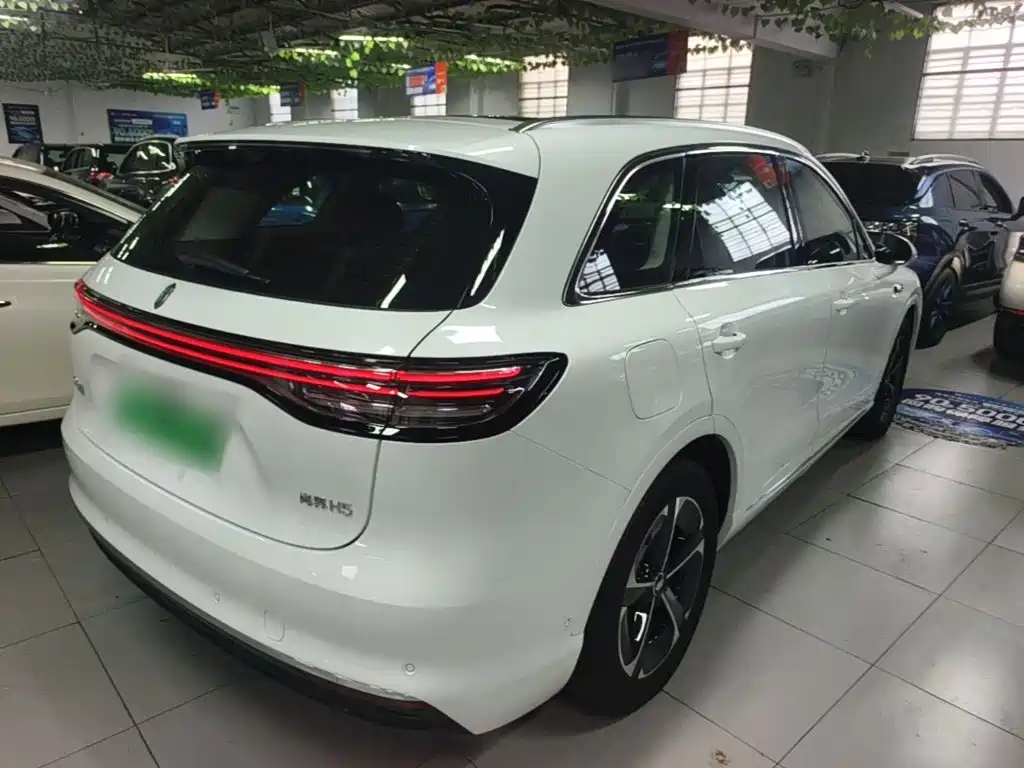 Сангтан Sangtang H5 — миниатюра 7