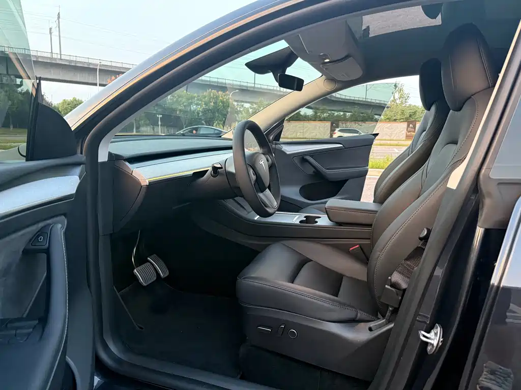 Tesla Model Y — миниатюра 8