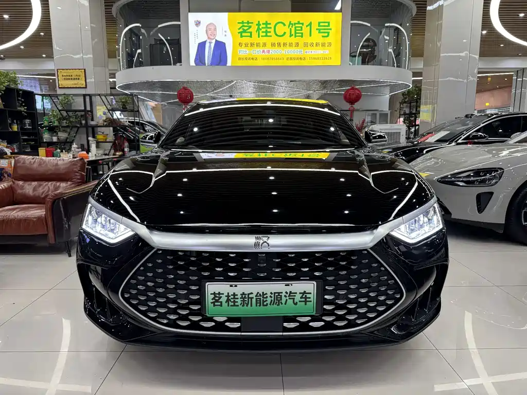 BYD Han — миниатюра 2