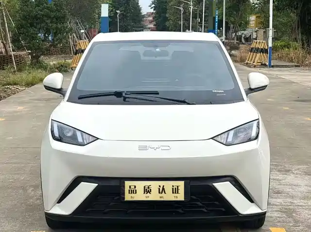 2024 BYD Seagull